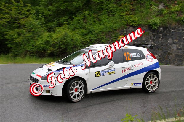Leone-Maggiolino.jpg